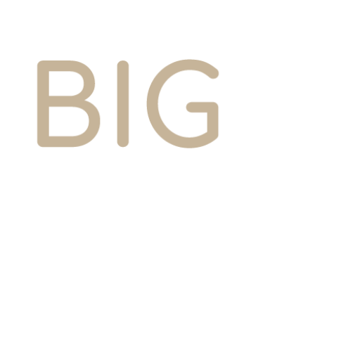 logo-big4space